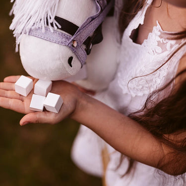 Fütterset für Hobby Horses / Steckenpferd