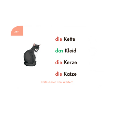 Erstes Lesen von Wörtern, 1. Klasse - Kartensatz für den Lochkasten