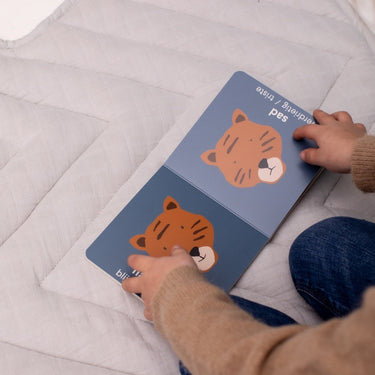 Kinderbuch der Gegensätze - spielerisch entdecken und lernen