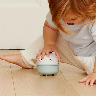 2in1 Sensorikspielzeug Cat - wackeln & rollen ab 18 Monaten
