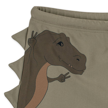Aster Badehose Dino - Overland Trek - Badeshorts mit verstellbarem Tunnelzug