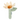 Rassel Blume/ Flower - Little Farm