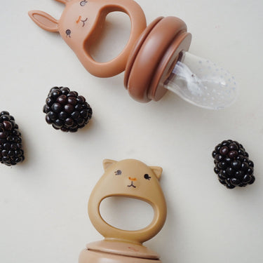 Obst Schnuller Fruchtsauger