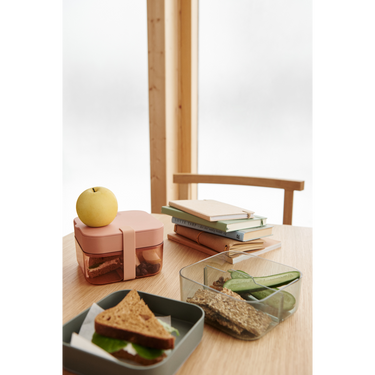 Amandine transparente Bento Box / Brotdose mit Unterteilungen