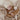 Mulltuch "Hibiscus" 110 cm x 110 cm