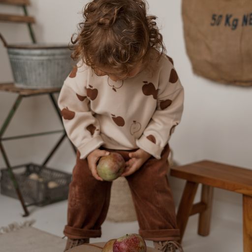 Pullover für Kinder, 100% Bio-Baumwolle Cinnamon Apple Orchard